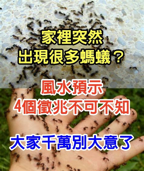 突然出現很多螞蟻|視力突然喪失恐眼中風 常見青光眼、黃斑部水腫併發症